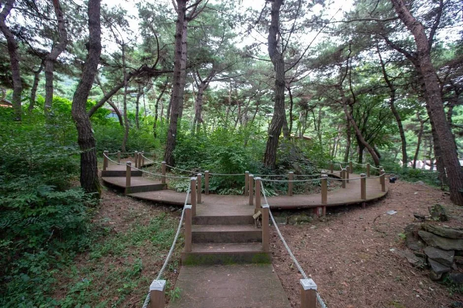 태학산자연휴양림_숲3