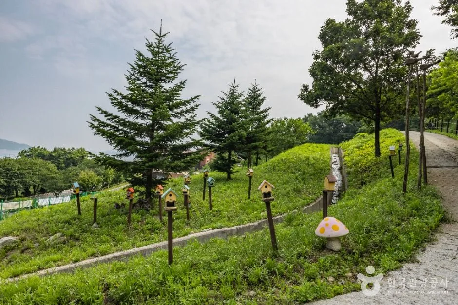 강화_석모도 자연휴양림 (6)