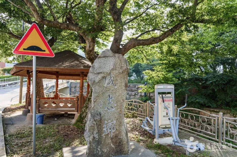 봉화_춘양목송이마을 (4)