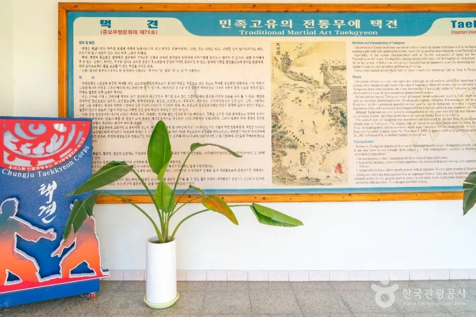 충주_충주시택견원 (5)