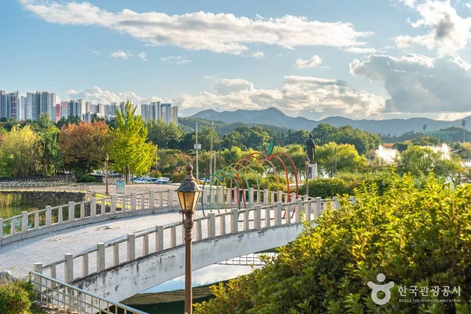 충주_충주시택견원 (3)