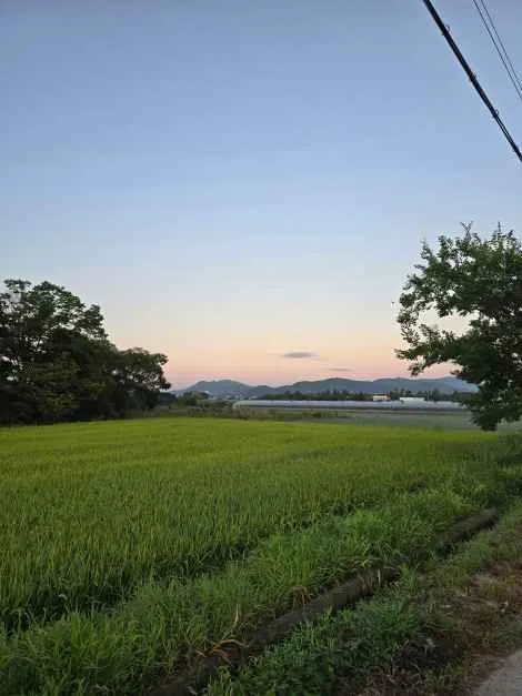 부산_러블리가든(사계, 나를심다) (5).jpeg