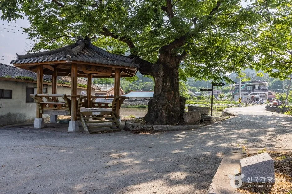 공주_공암마을 (2)