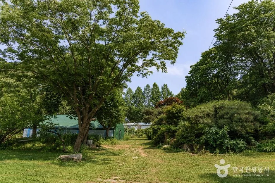 파주_산머루농원 (6)