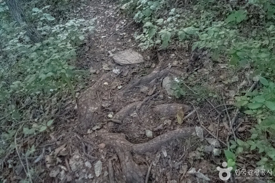 나리소전망대 (12)