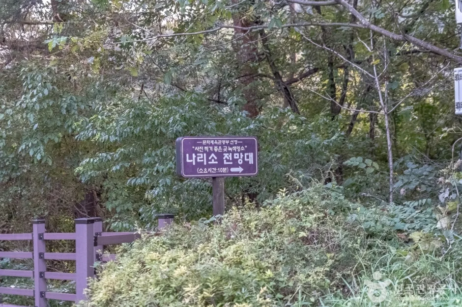 나리소전망대 (10)_바닥조심나무뿌리많음