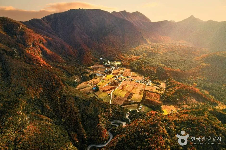울릉_나리분지 (2).jpg