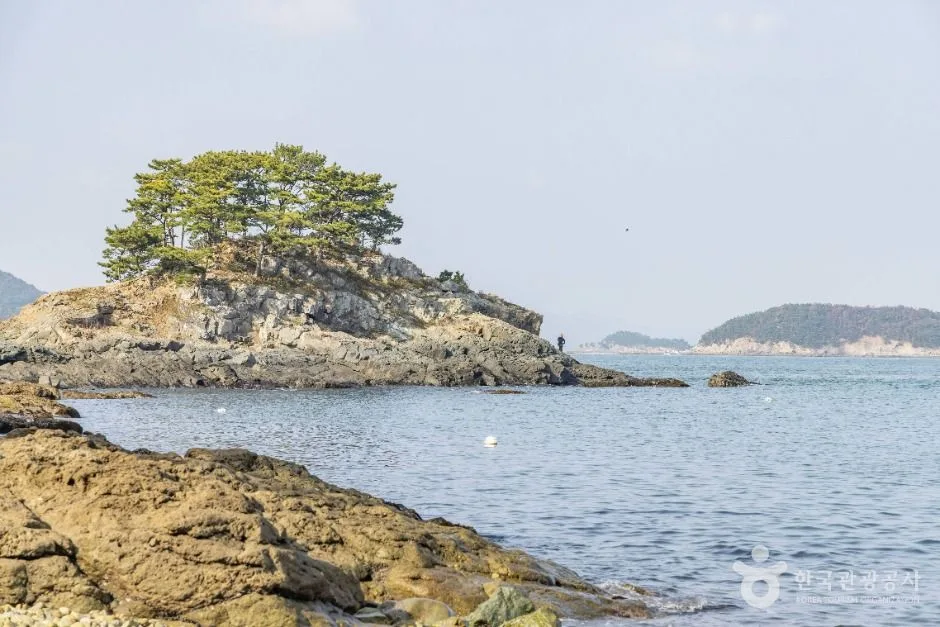 통영_흰작살해변 (5)