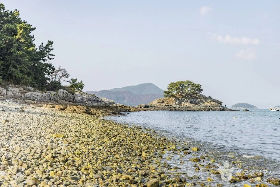 흰작살해수욕장