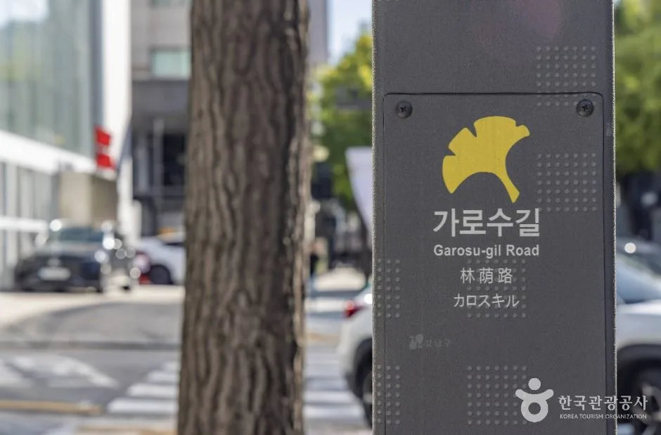 서울_신사동 가로수길 (5)