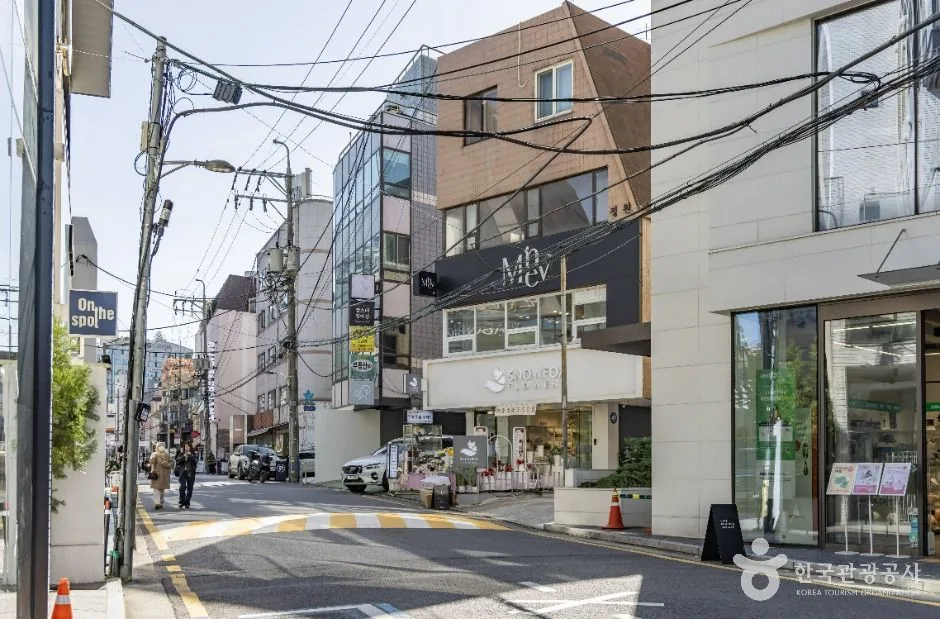 서울_신사동 가로수길 (1)