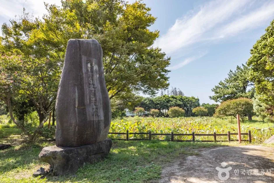 제주_서귀포_법화사 (6)