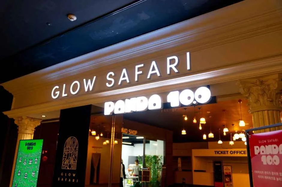 대구_글로우사파리 판다100 (4).jpg