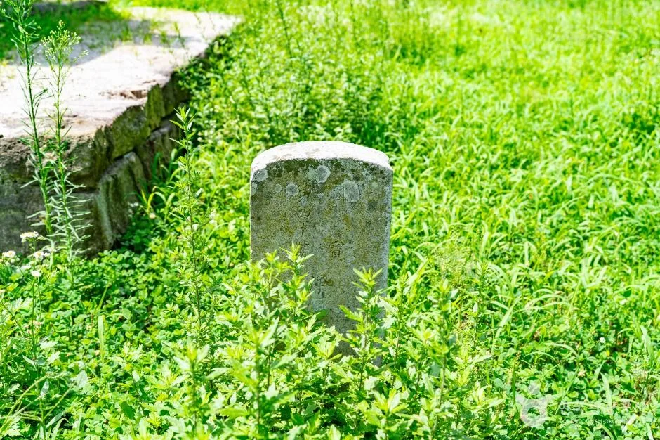 경주_경주 정혜사지 십삼층석탑 (5)