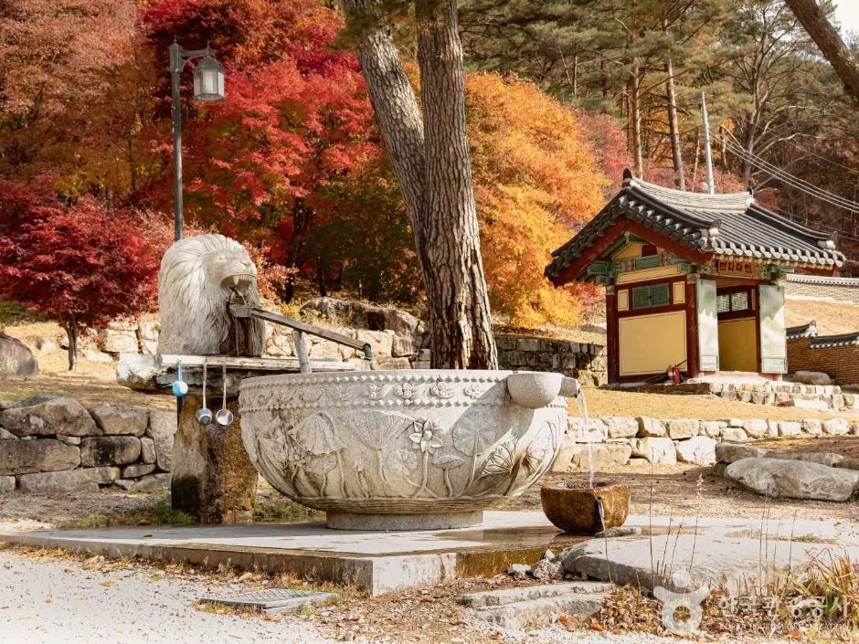 영월 법흥사