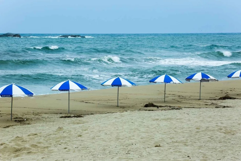 사근진해변_1