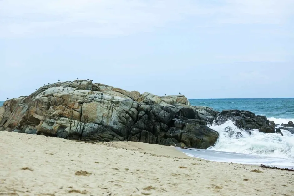 사근진해변_7