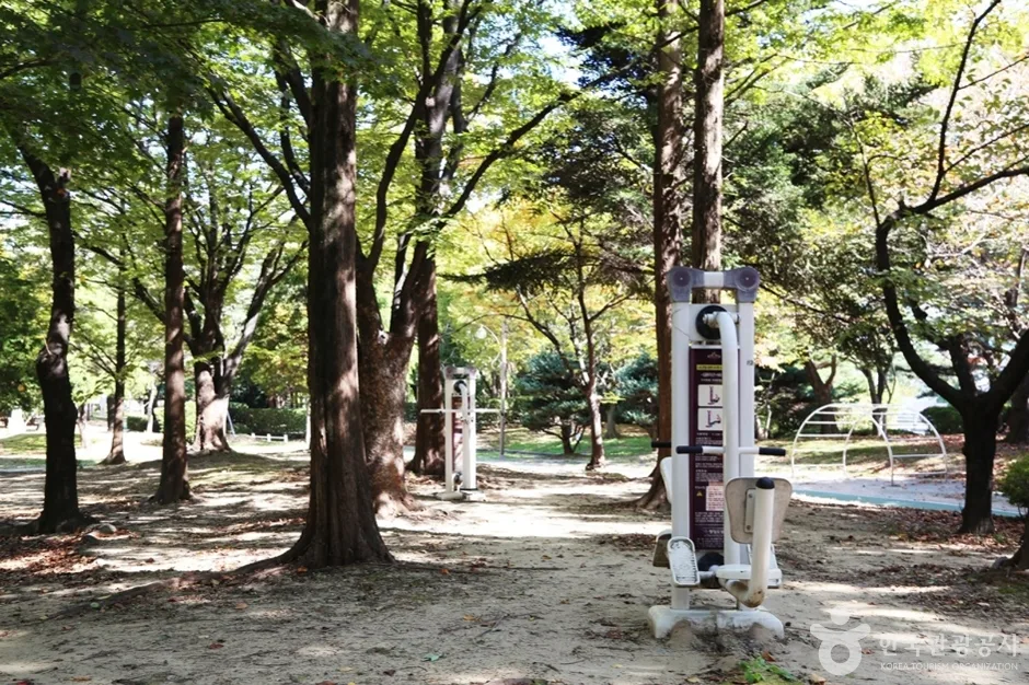 창원 중앙체육공원 (13)