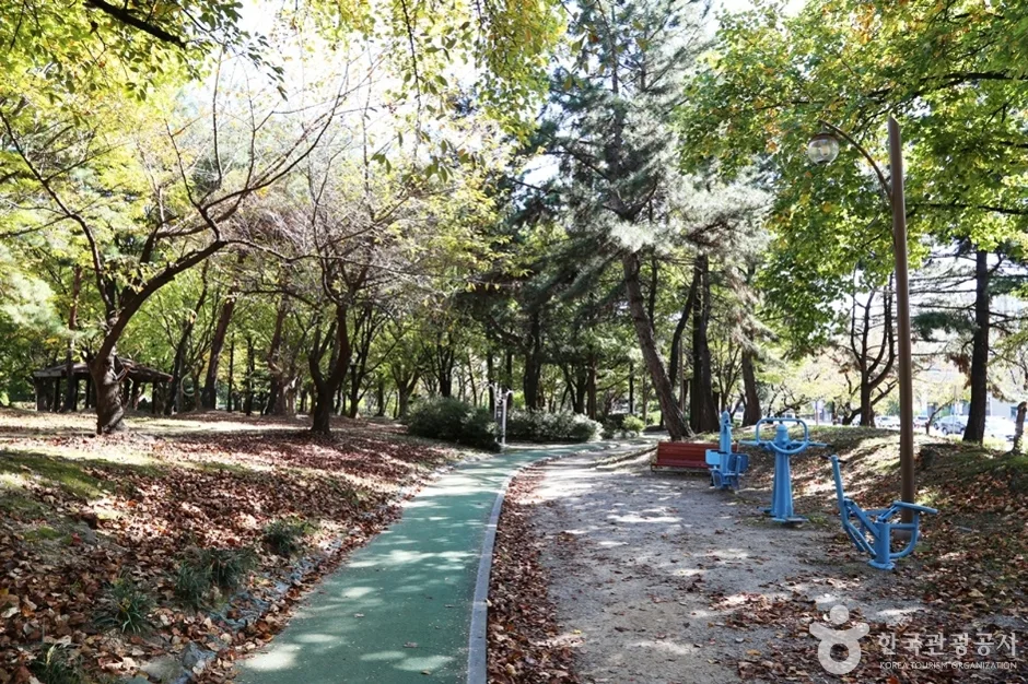 창원 중앙체육공원 (11)