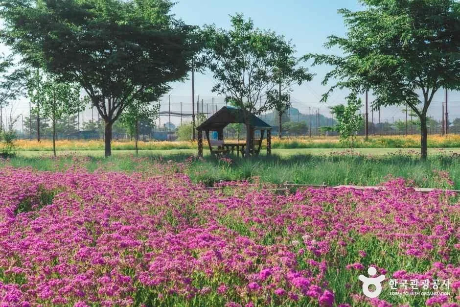 창원_대산플라워랜드 (2)