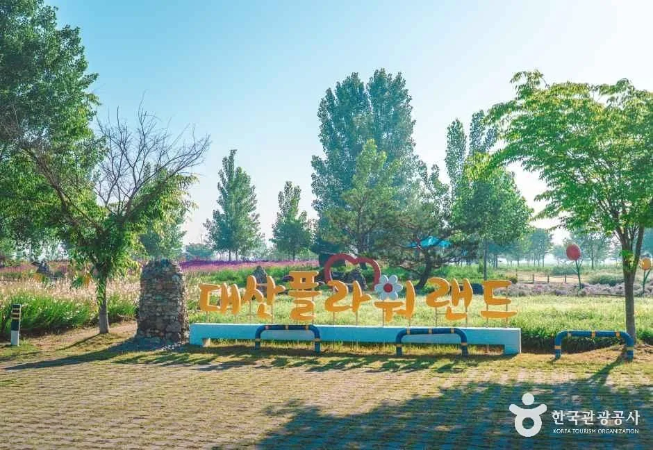 경남_창원_대산플라워랜드_끈끈이 대나물꽃밭2.jpg