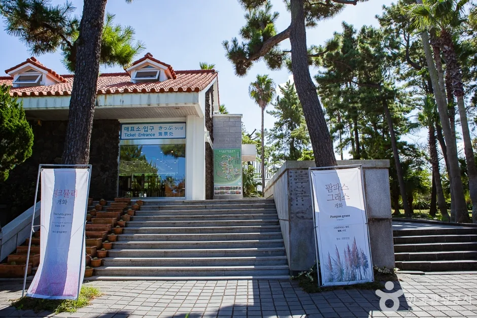 협재굴(한림공원) (3)