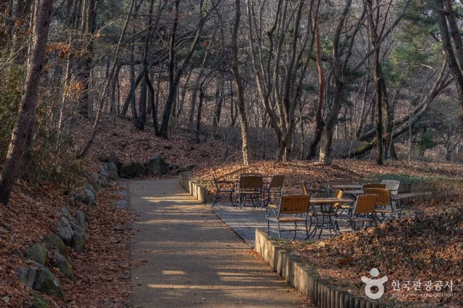 서울_대모산도시자연공원 (13)