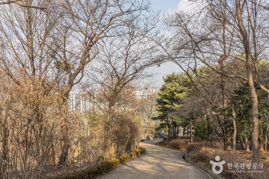 서울_대모산도시자연공원 (15)