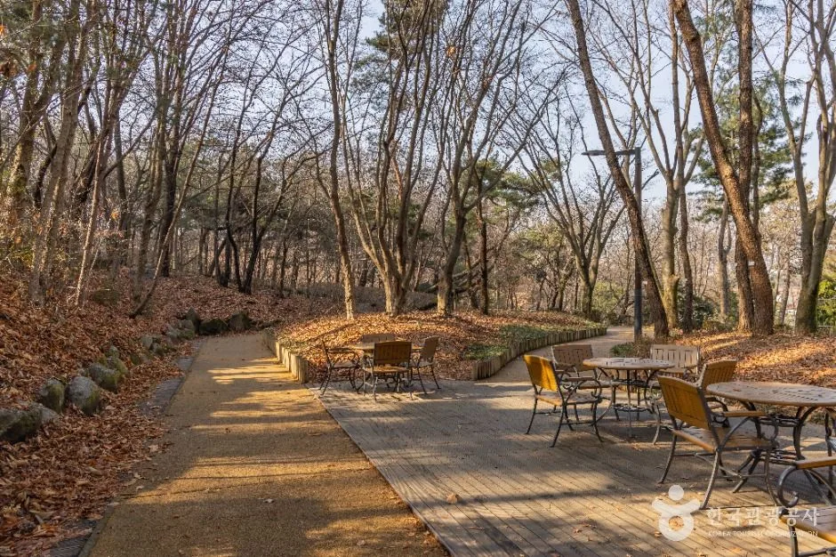 서울_대모산도시자연공원 (14)