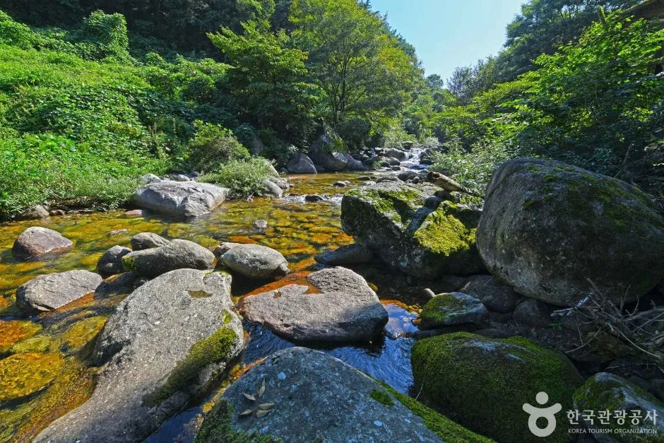 단양_새밭계곡 (7)
