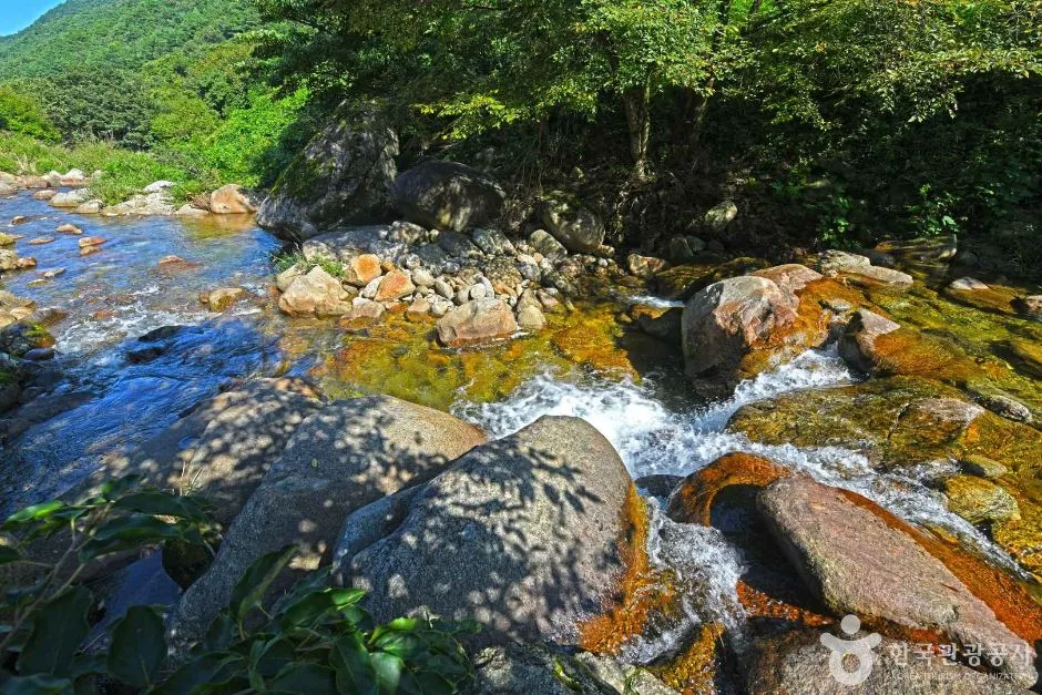 단양_새밭계곡 (6)