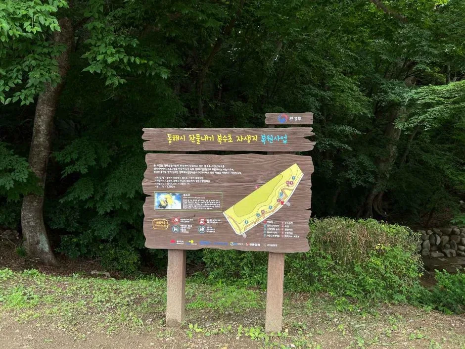 동해_냉천공원 (16)
