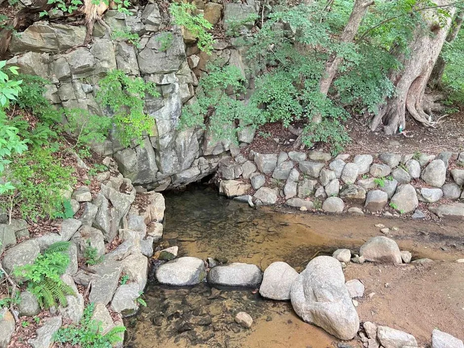 동해_냉천공원 (8)