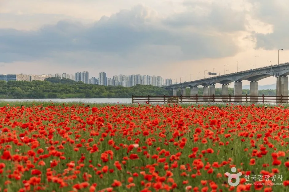 가족과 함께 한강 물길 따라 걷는 남양주 나들이_경기_남양주_남양주 한강공원 삼패지구_3.jpg