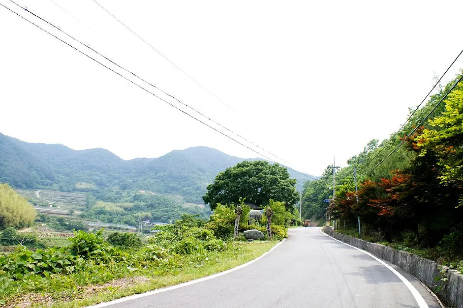 경남_하동군_하존티마을 (5).jpg