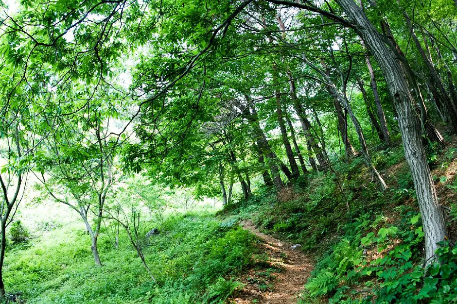경남_하동군_하존티마을 (3).jpg