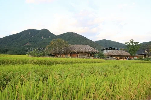충남_아산시_설화산 (4).jpg