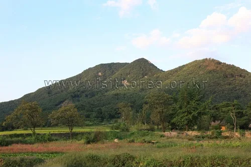 충남_아산시_설화산 (5).jpg