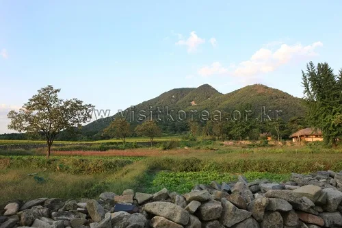 충남_아산시_설화산 (6).jpg