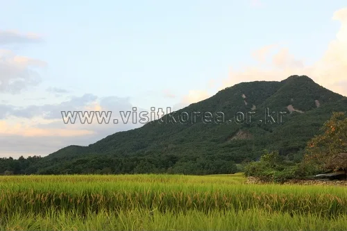 충남_아산시_설화산 (1).jpg