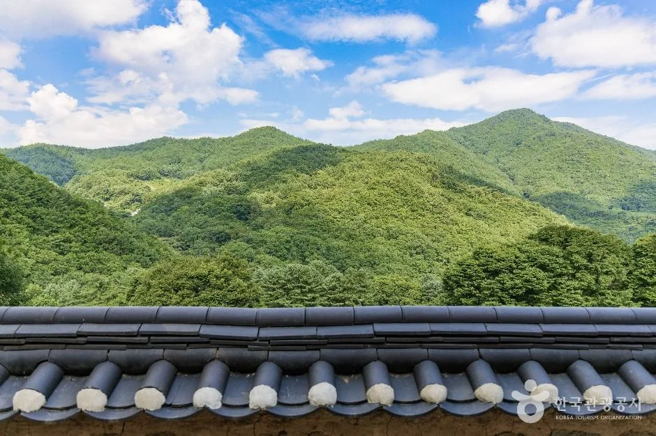 영주_비로사(영주) (6)