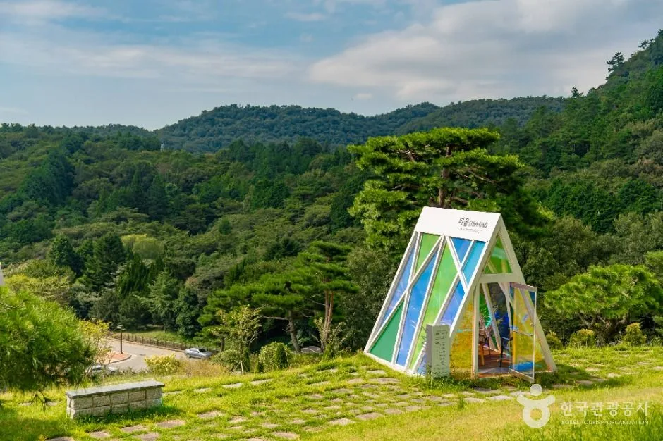 보성_한국차문화공원 (2)