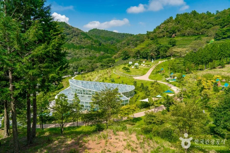 보성_한국차문화공원 (8)