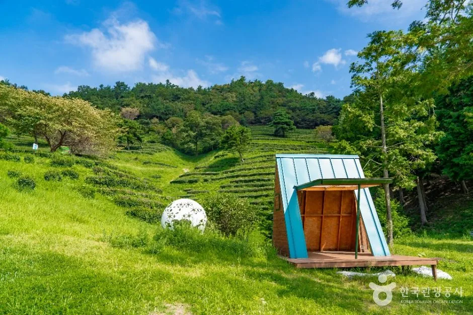 보성_한국차문화공원 (5)