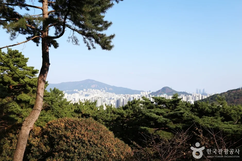 금용암 (17)