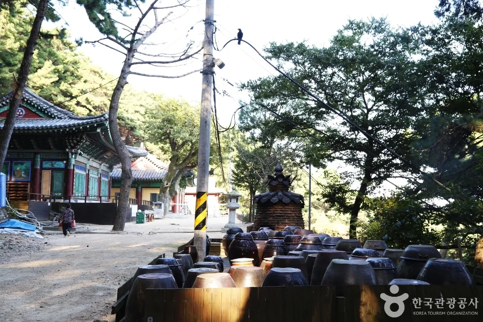 금용암 (9)