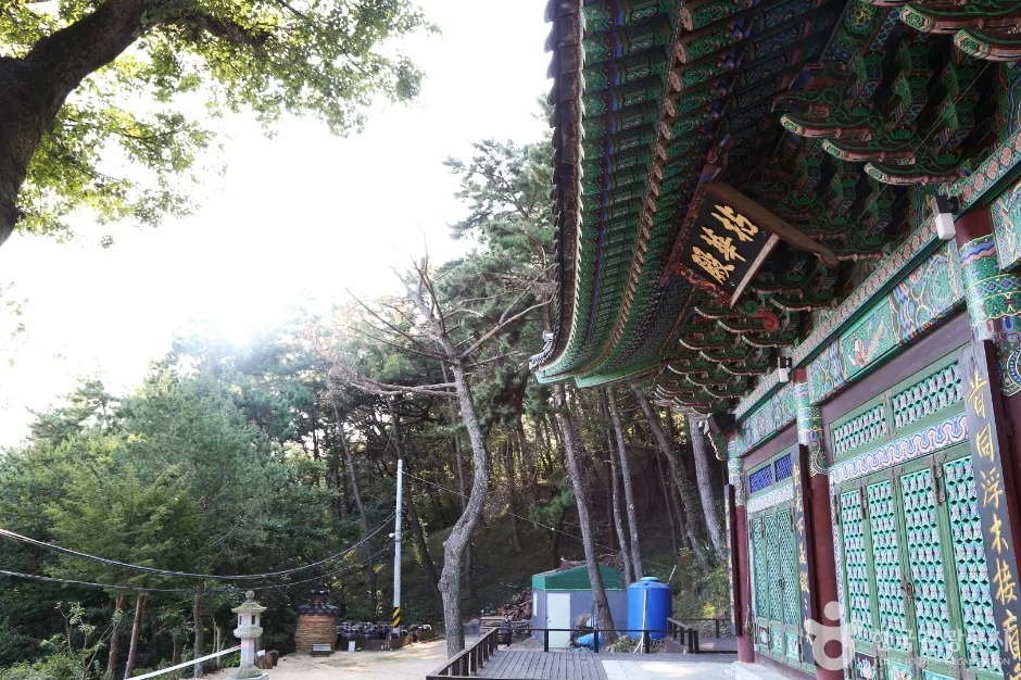 금용암 (14)