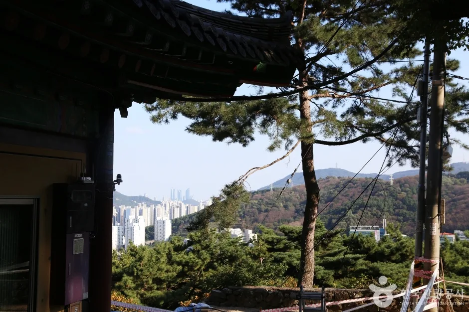 금용암 (10)
