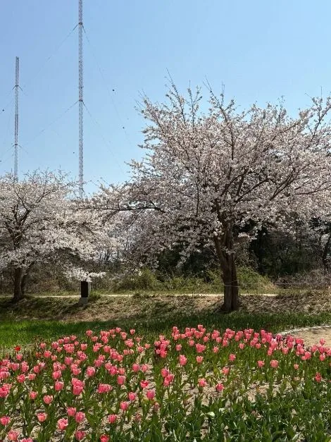 강릉_경포플라워가든 (1)