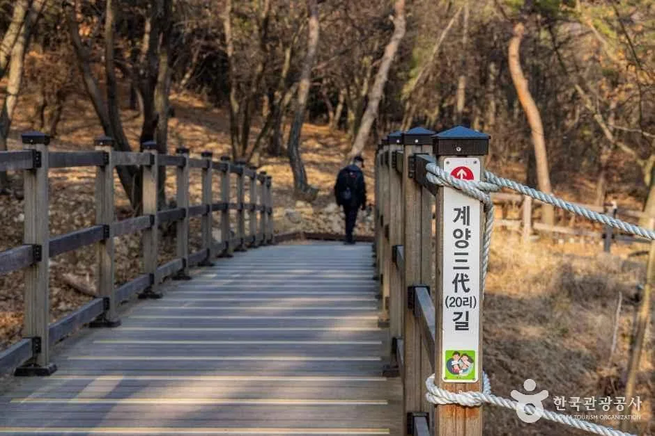 인천_계양공원 (8).jpg